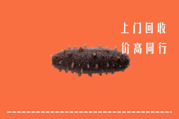 惠州高价回收海参